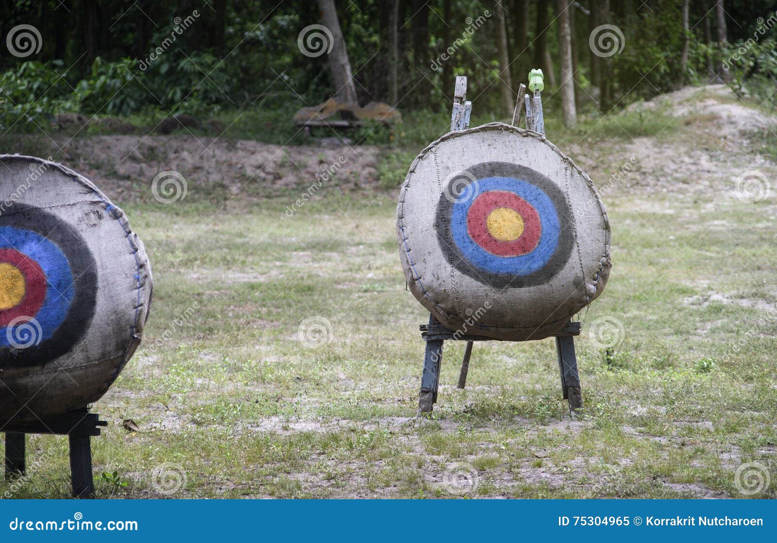 archery target on the field,light and flare effect added,mean Ã¢â¬Åchoose your goal,targetedÃ¢â¬Â,Ã¢â¬Âsuccess life goalsÃ¢â¬Â